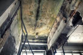 Best Air Quality Testing for Mold Spores  in Belford, NJ